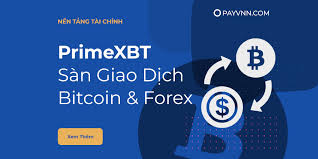 Maximize Your Profits with PrimeXBT Trade
